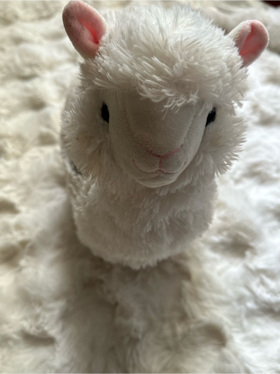 Dolls Kill Other - Plush White Alpaca/Llama Toy
